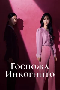 Госпожа Инкогнито 1 сезон